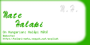 mate halapi business card